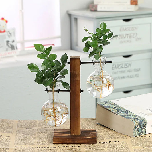 "Terrarium Hydroponic Plant Vase"